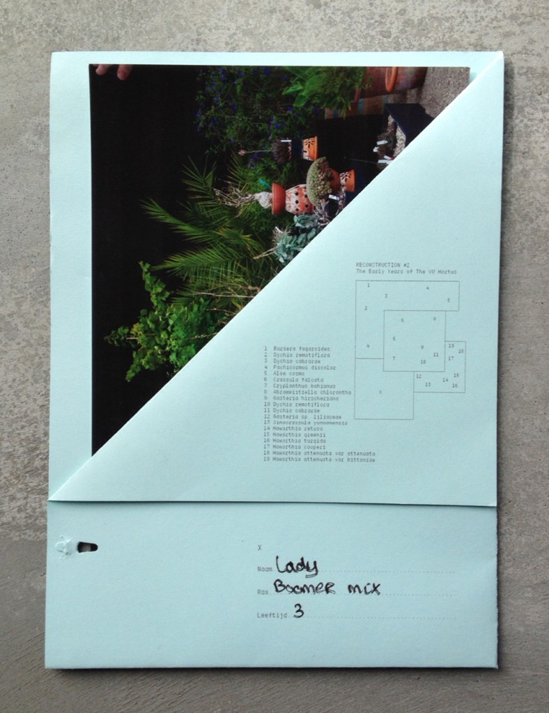 Envelop met foto en informatie over de gepresenteerde succulenten, 2015, KCCM